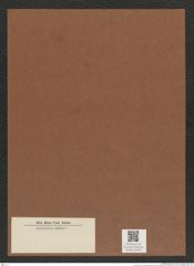 Diatomeae indet. Zeichnungen Sammlung Grunow Mappe 04169 (Herbarium_W_Grunow_drawings_Folder_04169)